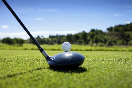 Golf Tees - divotEND Scotland